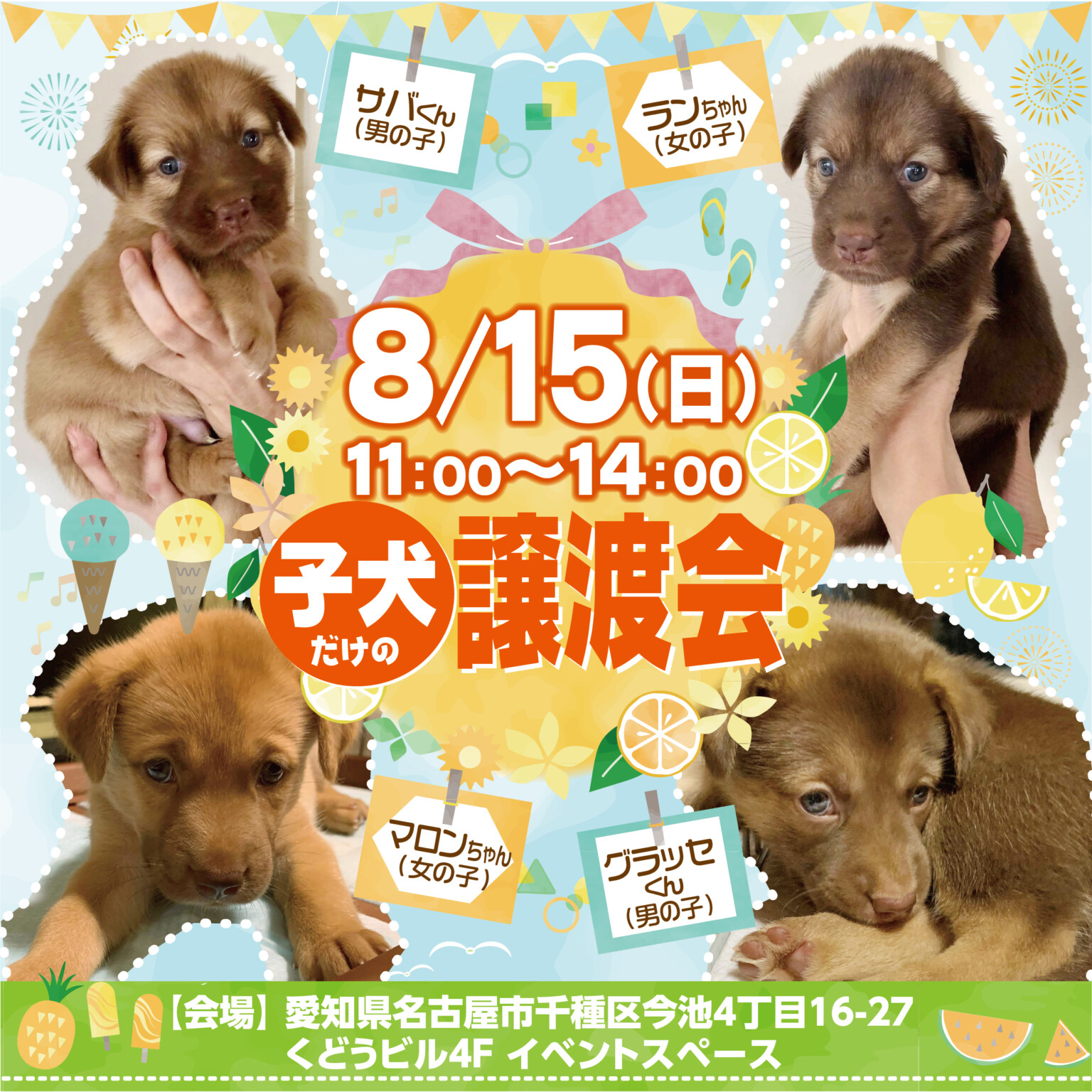 8/15(日) 子犬の譲渡会を今池で開催します！ famille